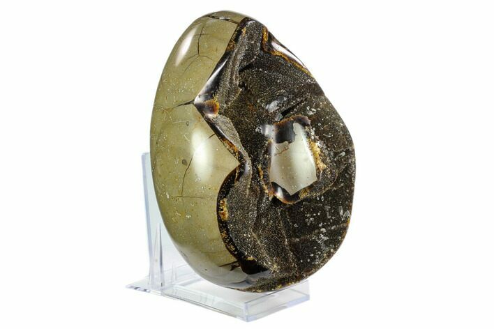 Septarian Dragon Egg Geode - Black Crystals #122528